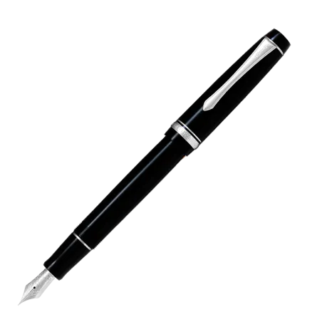 Stylo-plume M Pilot Heritage 91 - Noir