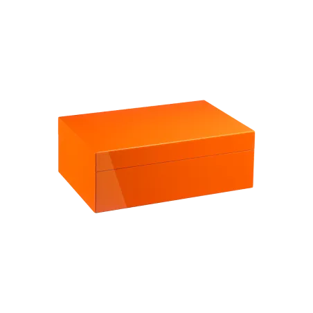 Cave à Cigares. Capacité 40-50 cigares.