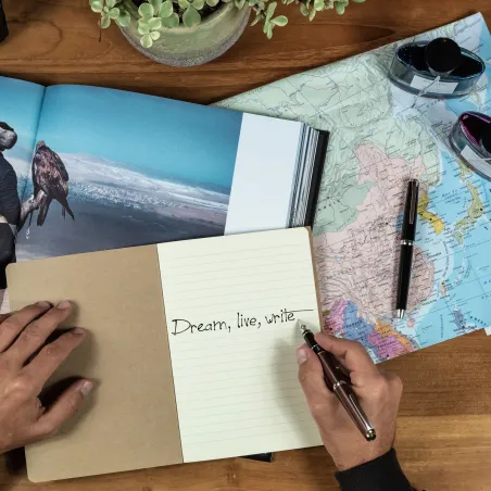 Stylo-plume M PILOT Falcon Bronze Laqué - Plume Or 14 Carats - Luxe et Souplesse