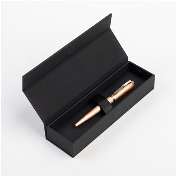 Stylo Bille HUGO BOSS Contour Brushed Champagne