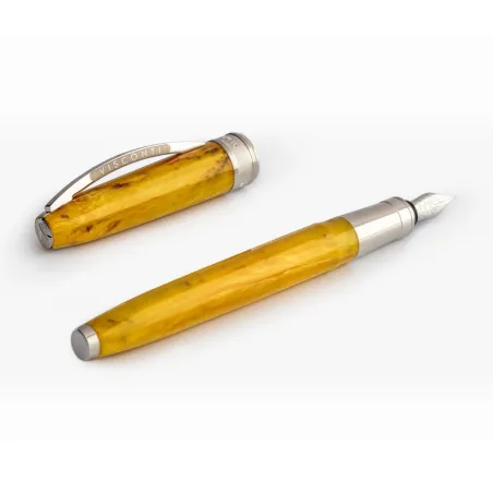 Stylo-plume VISCONTI - Van Gogh - Sunflowers - B