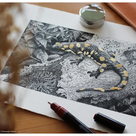 Stylo Feutre rOtring Isograph | 0,20 mm Fineliner Rechargeable