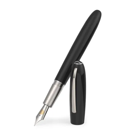 Stylo Plume BB-Acier "Alter Ego" JAN ZANDER Design Ebonite Plaqué platine bouchon
