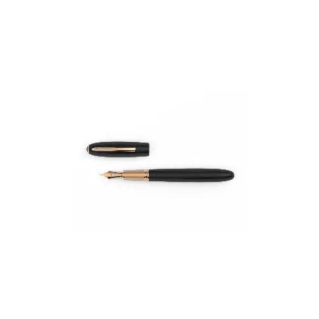 Stylo Plume M-Acier "Alter Ego" JAN ZANDER Design Ebonite Plaqué Or Rose dessus