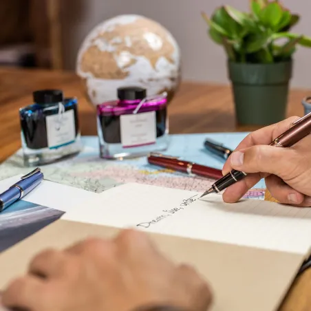 Stylo-plume F PILOT Falcon Bronze Laqué - Plume Or 14 Carats - Luxe et Souplesse