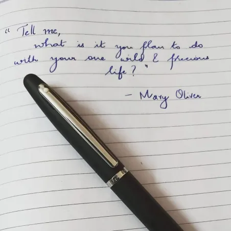 Stylo Roller Sheaffer VFM Noir et Chrome – Élégance et confort