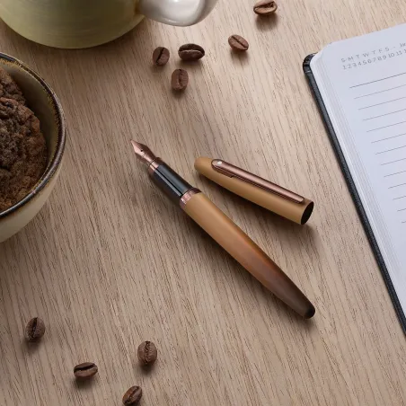 Stylo Plume Sheaffer VFM Coffee Edition - Plume M - Édition Spéciale
