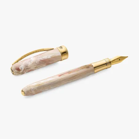 Stylo-Plume F VISCONTI - Comedia Virgilio - Limited Edition - Ouvert