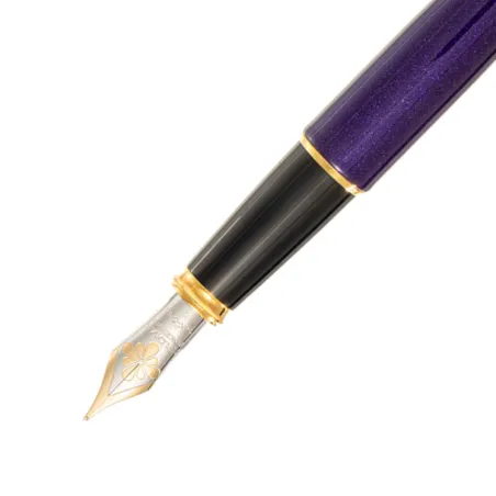 Stylo plume M Diplomat - Excellence A2 - Violet Rain GT - Or 14K - Plume
