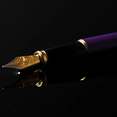 Stylo Plume Diplomat Excellence A2 Violet Rain GT - Plume B Acier