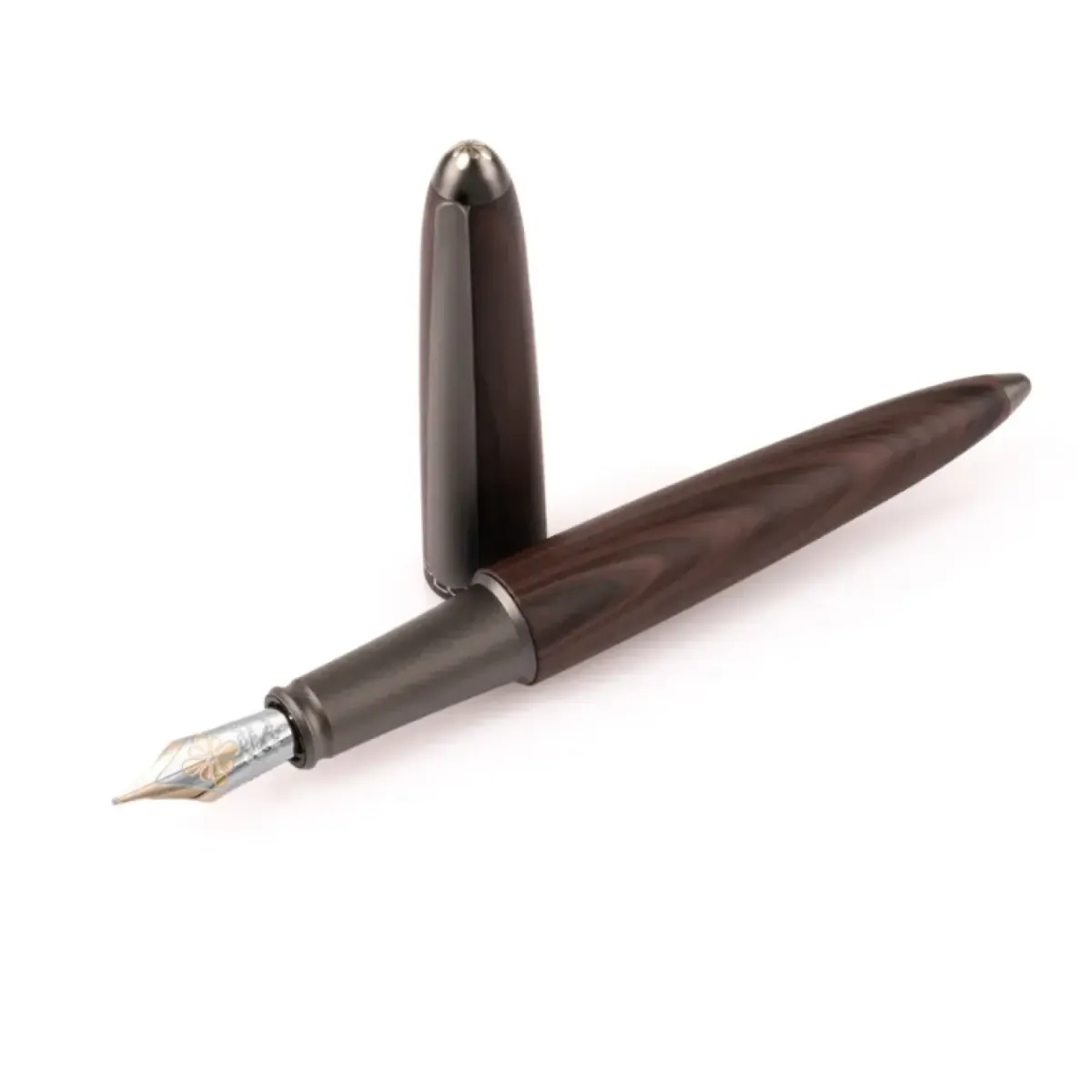 Stylo plume M Diplomat Aero - Black Forest - Plume or 14 ct - ouvert